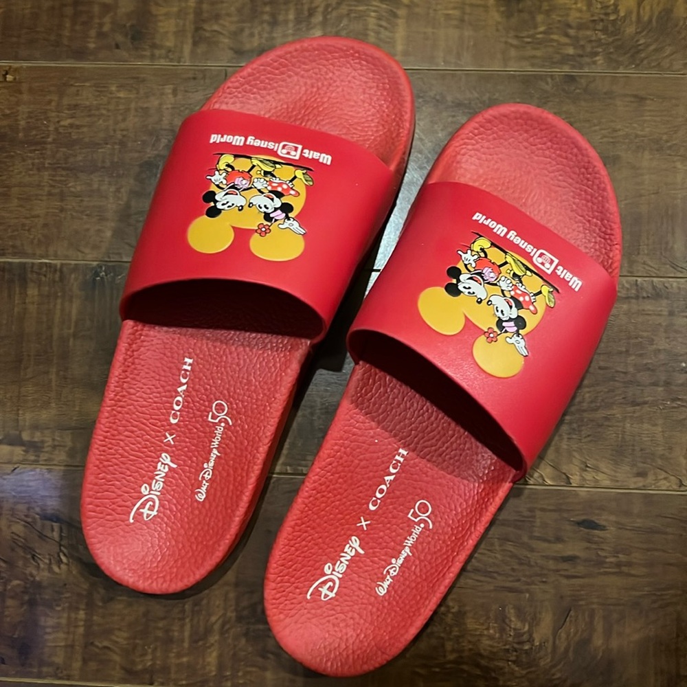Coach x Disney slides